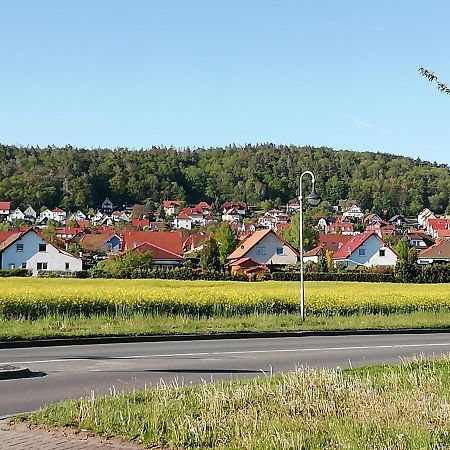 Ferienwohnung 40Qm Gernrode Gernrode  外观 照片