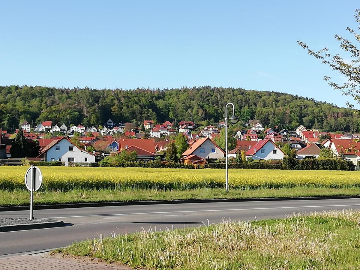 Ferienwohnung 40Qm Gernrode Gernrode  外观 照片